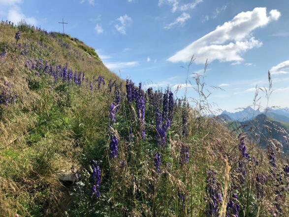 Blick zum Gipfel der Roten Spitze