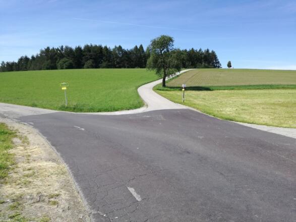 Gerade über die Abzweigung zur Schiefen Kapelle, nach links geht dann der Weiterweg