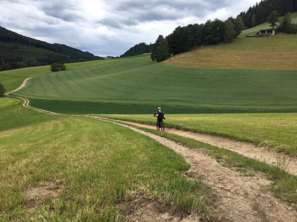Richtung Ruine Ruttenstein