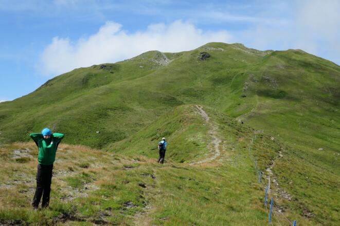 Hier der Blick zum weiteren Aufstieg auf den Leitnerberg.