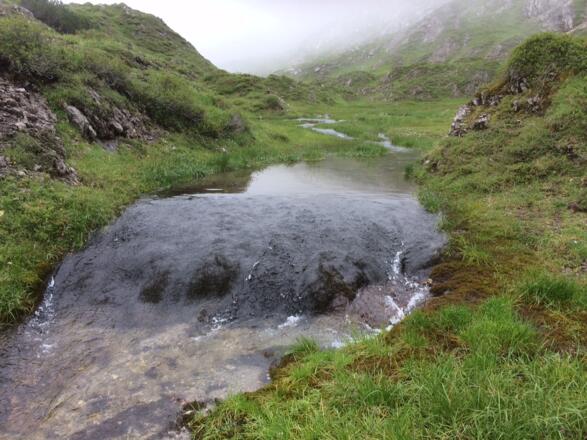 Bächlein unterhalb vom Roßkarsee