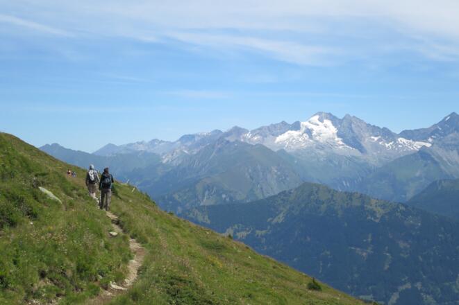 Hier bereits wieder auf dem Rückweg, dieses mal verwenden wir den Steig unterhalb der Gipfel.
