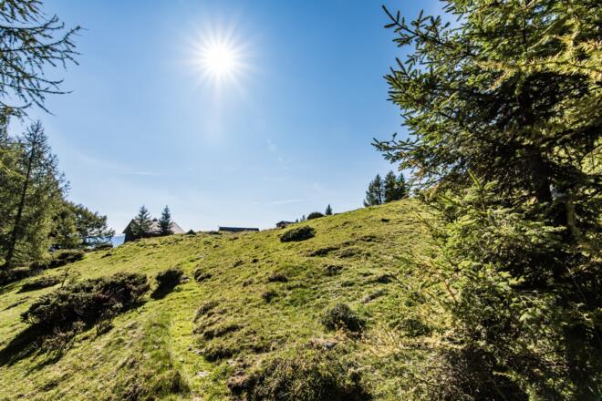 Auf dem Weg zur Gstoder Wanderung im Sommer