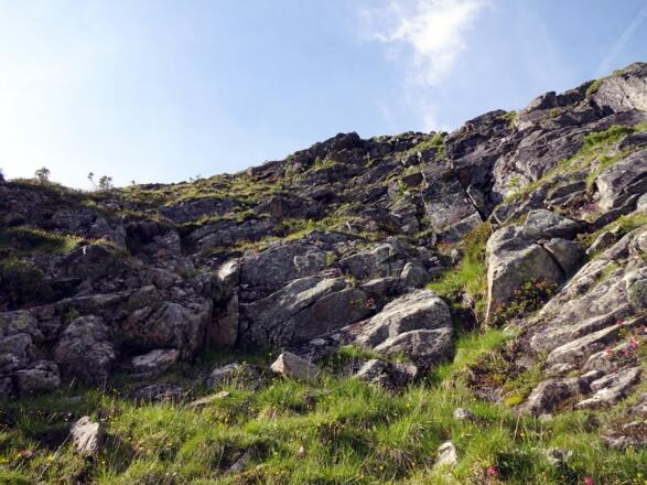 Aufstiegsgelände nach der Linksquerung um auf das obere Grasband zu gelangen