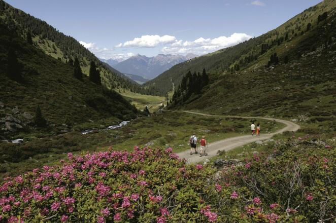 Im Fotschertal: Aufstieg zur Potsdamer Hütte.