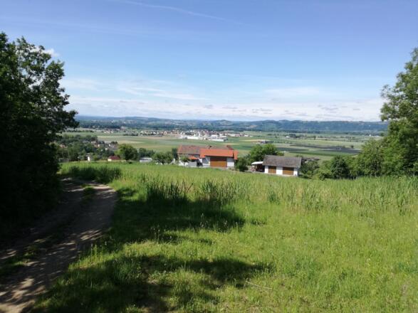 Herrlicher Ausblick ins Alpenvorland