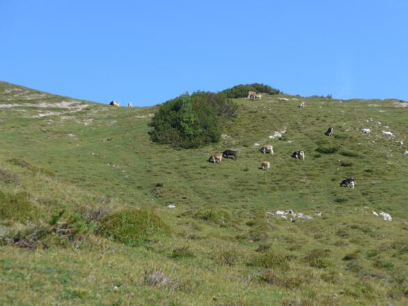 Östliches Lachenjoch