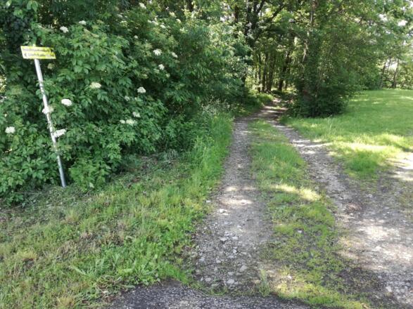 Weiter auf Forststraße