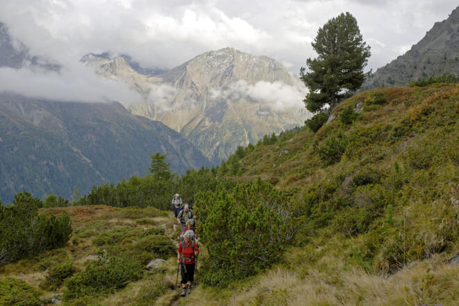 Letzter Anstieg durch das Moos zum Hahlkogelhaus