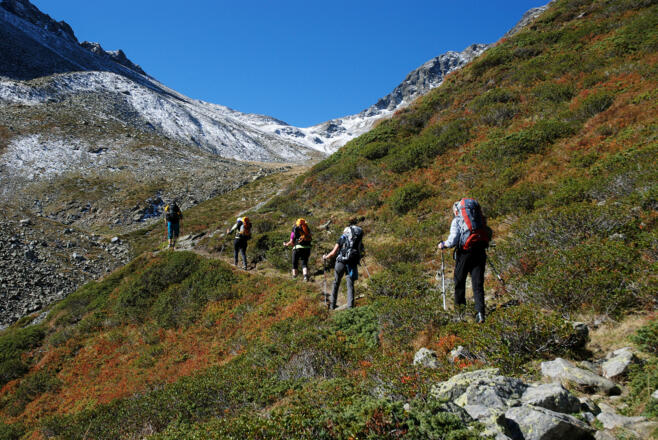 Im Anstieg zum Breitlehnjöchl