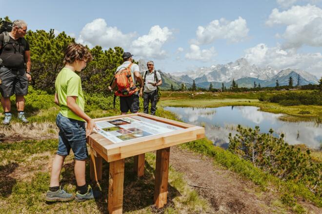 Informationstafeln stehen interesseirten Wanderern am Gerzkopf zur Verfügung