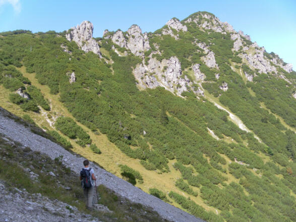 Ostflanke der Hohen Köpfe zur Galinaalpe