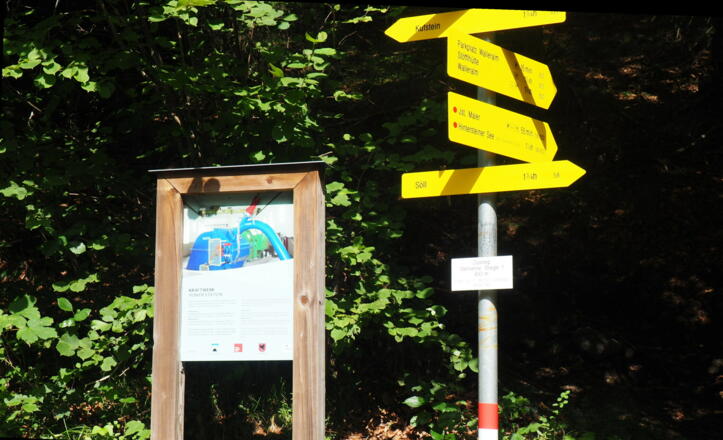 Ein- bzw. Ausstieg zur Steinernen Stiege 652m