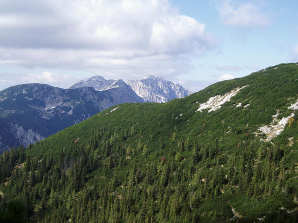 Blick zum Sengsengebirge ©  Mitterhuber