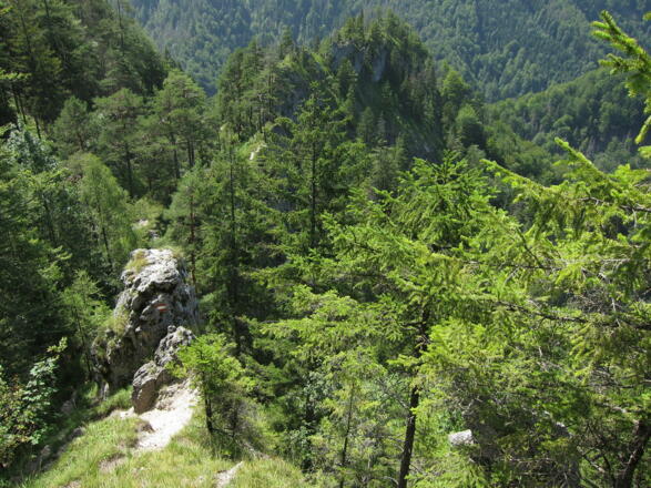Weg über die Hochschlacht, Reichraminger Hintergebirge © Egelseer