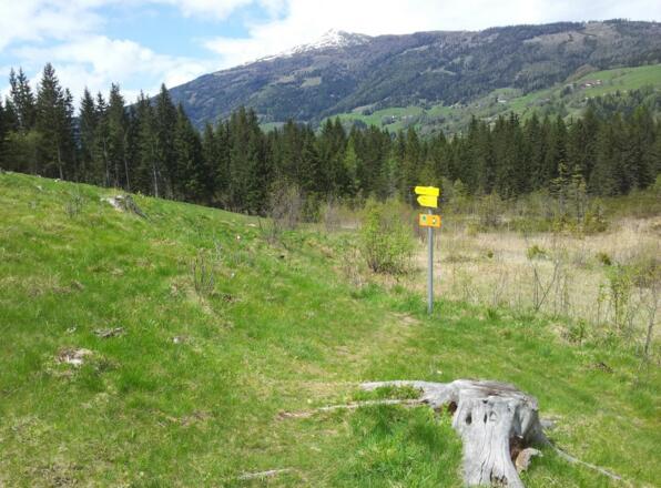 Wegbeschilderung folgen