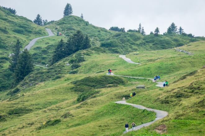 Blick zurück auf den Weg 