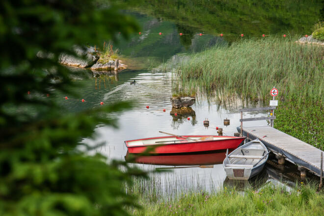 Bootsteeg am Körbersee