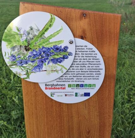 Interessante Informationstafeln am Pflanzenwelten-Weg