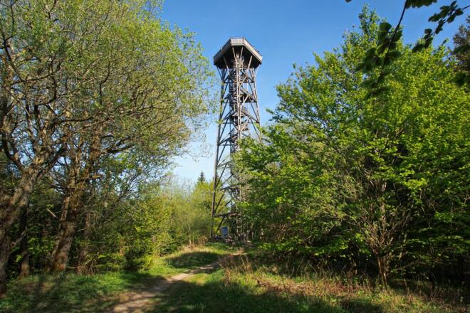 Dambergwarte, ein 1972 errichteter, hölzerner Aussichtsturm
