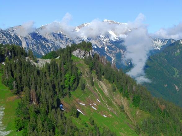 Trämpl mit Sengsengebirge im Hintergrund