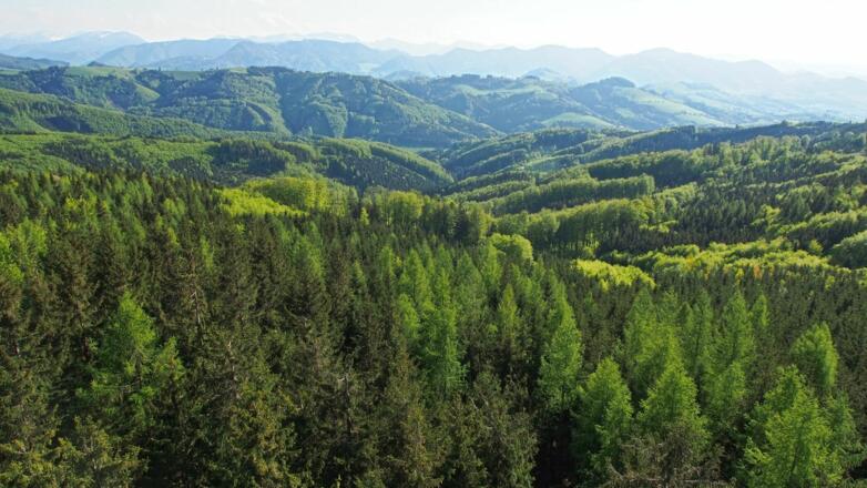 Blick von der Dambergwarte nach Süden