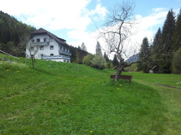 Wiesnbauer gerade aus 