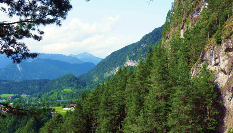 Blick von der Steinernen Stiege (780m) nach Norden