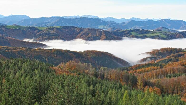 Blick von der Dambergwarte nach Süden: im Hintergrund das Sengsengebirge