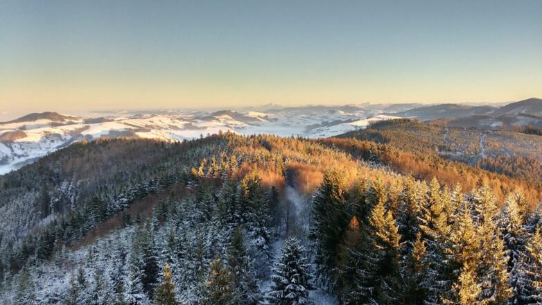 Blick von der Dambergwarte in&#039;s Niederösterreichische hinein, hinten der Ötscher.