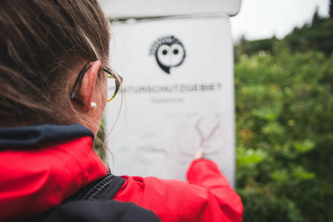 Gipslöcher (c) Thomas Stanglechner