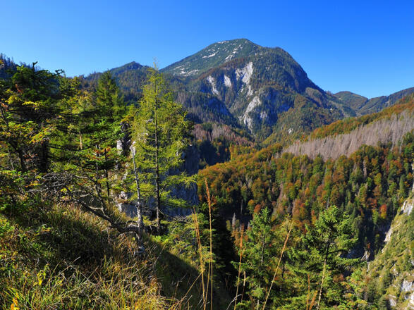 Großer Größtenberg im Nationalpark Kalkalpen © Sieghartsleitner