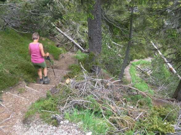 Normalweg zum Rauchkofel