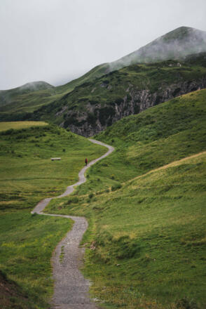 Auenfeld (c) Thomas Stanglechner