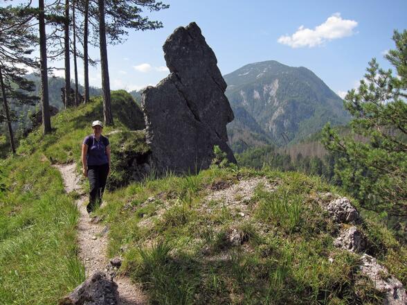 Über die Hochschlacht zur Anlaufalm © Egelseer