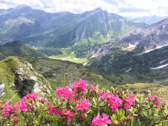 Blick von der Kranzlhöhe zur Ursprungalm