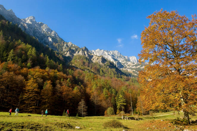 Herbstzauber, Blumaueralm