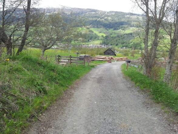 Forstweg zurück nach St. Martin bzw. St. Michael