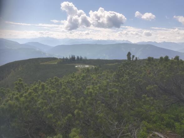 Blick auf das Hochmoor am Gerzkopf