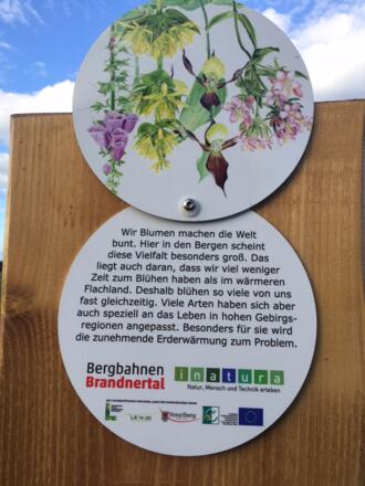 Interessante Informationstafeln am Pflanzenwelten-Weg