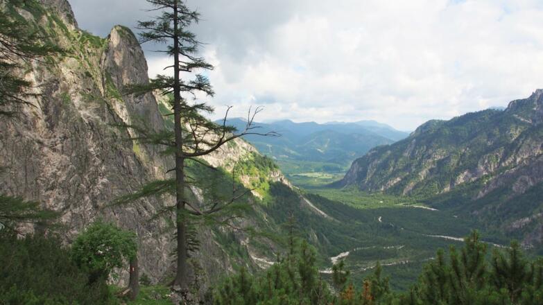 Rückblick auf die &quot;Röll&quot; vom Sepp Huber Steig. Der Forststraßenhatscher im Tal hängt sich wie immer an...