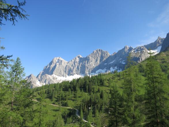 Blick zur Dachstein Südwand