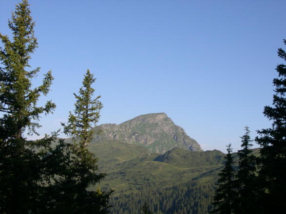 Gaisstein - 2.363m - einer höchsten Grasberge Europas