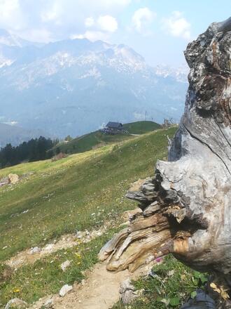 Die Mahdalm in Sichtnähe