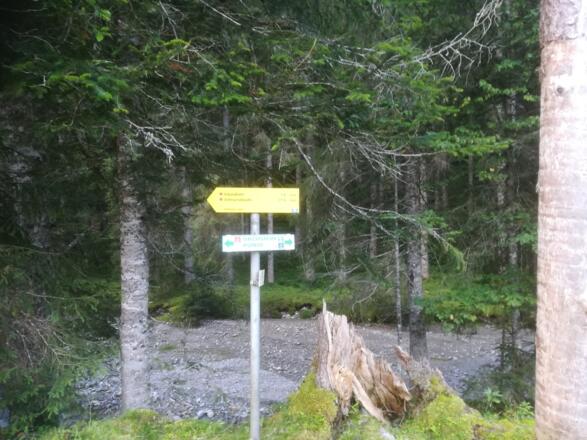 Forststraße Richtung Arzbergalm