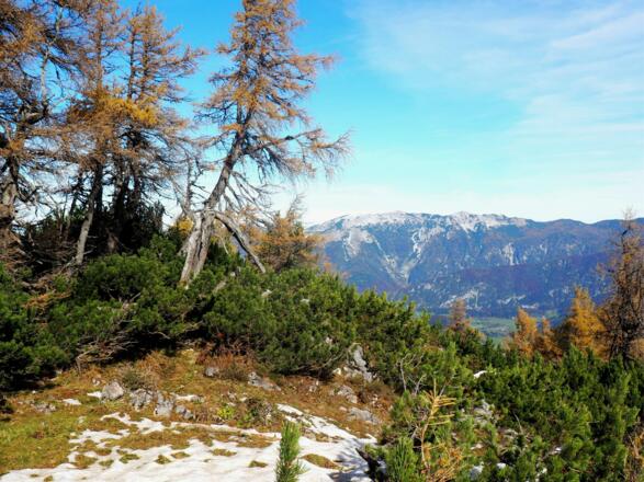 Halskogel 1690m mit Sengsengebirge
