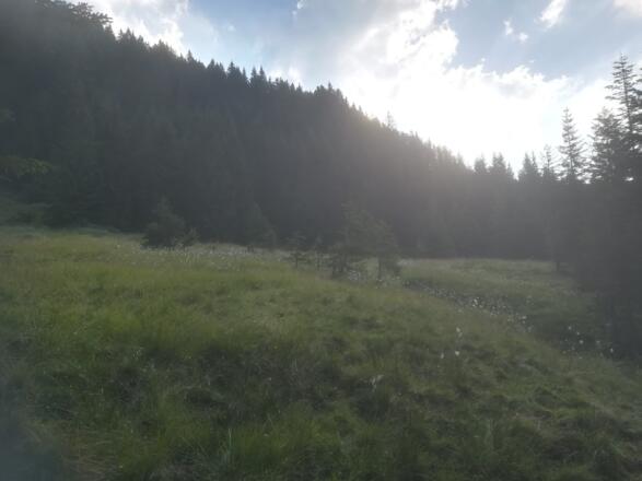 Bei Sonnenaufgang kurz vor der Arzbergalm