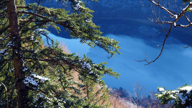 Hint. Signalkogel, Tiefblick zum Langbathsee