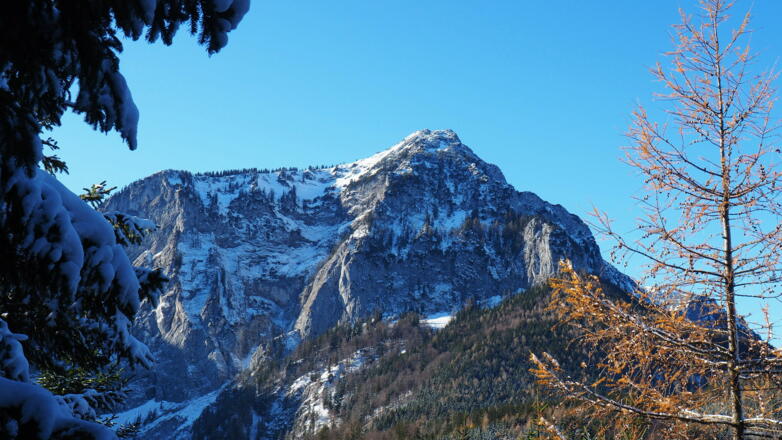 Brunnkogelblick um 930m, Nähe Jagastand