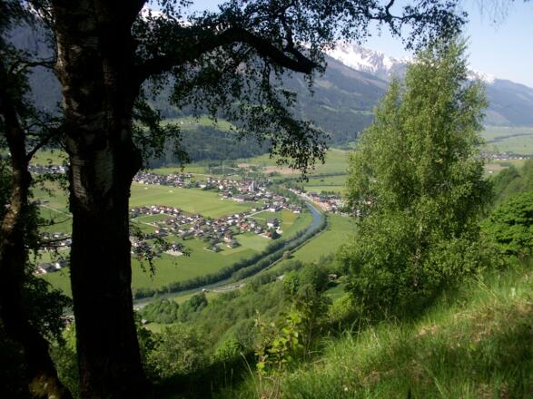 Blick auf Niedernsill